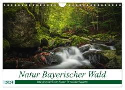 Natur Bayerischer Wald (Wandkalender 2024 DIN A4 quer), CALVENDO Monatskalender