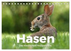 Hasen - Die niedlichen Hoppeltiere. (Tischkalender 2024 DIN A5 quer), CALVENDO Monatskalender