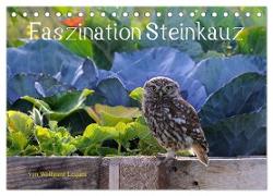 Faszination Steinkauz (Tischkalender 2024 DIN A5 quer), CALVENDO Monatskalender