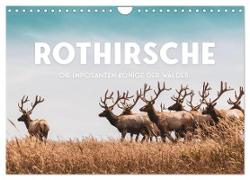 Rothirsche - Die imposanten Könige der Wälder. (Wandkalender 2024 DIN A4 quer), CALVENDO Monatskalender