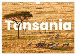 Tansania - Am Fuße des Kilimandscharo. (Wandkalender 2024 DIN A4 quer), CALVENDO Monatskalender