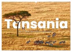 Tansania - Am Fuße des Kilimandscharo. (Wandkalender 2024 DIN A2 quer), CALVENDO Monatskalender