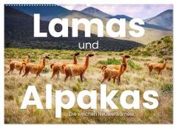 Lamas und Alpakas - Die weichen Neuweltkamele. (Wandkalender 2024 DIN A2 quer), CALVENDO Monatskalender