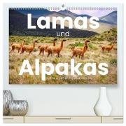 Lamas und Alpakas - Die weichen Neuweltkamele. (hochwertiger Premium Wandkalender 2024 DIN A2 quer), Kunstdruck in Hochglanz