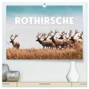 Rothirsche - Die imposanten Könige der Wälder. (hochwertiger Premium Wandkalender 2024 DIN A2 quer), Kunstdruck in Hochglanz