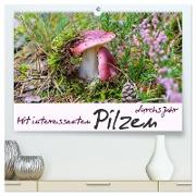 Mit interessanten Pilzen durchs Jahr (hochwertiger Premium Wandkalender 2024 DIN A2 quer), Kunstdruck in Hochglanz