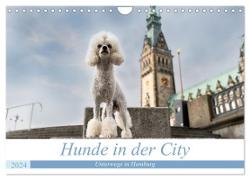 Hunde in der City - Unterwegs in Hamburg (Wandkalender 2024 DIN A4 quer), CALVENDO Monatskalender