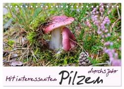 Mit interessanten Pilzen durchs Jahr (Tischkalender 2024 DIN A5 quer), CALVENDO Monatskalender