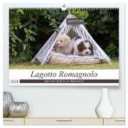 Lagotto Romagnolo - Spiel und Spaß in der Welpenzeit (hochwertiger Premium Wandkalender 2024 DIN A2 quer), Kunstdruck in Hochglanz