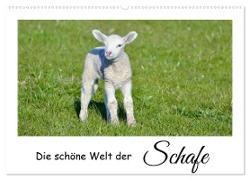 Die schöne Welt der Schafe (Wandkalender 2024 DIN A2 quer), CALVENDO Monatskalender