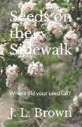 Seeds on the Sidewalk: Where did your seed fall?