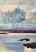 A Brief and Endless Sea