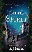 Little Spirit: A children's mystery adventure