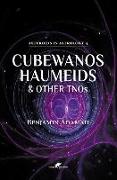 Cubewanos, Haumeids and other TNOs