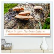Pilze in den Herbstwäldern (hochwertiger Premium Wandkalender 2024 DIN A2 quer), Kunstdruck in Hochglanz