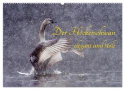 Der Höckerschwan elegant und stolz (Wandkalender 2024 DIN A2 quer), CALVENDO Monatskalender