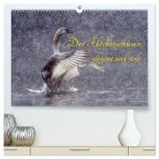 Der Höckerschwan elegant und stolz (hochwertiger Premium Wandkalender 2024 DIN A2 quer), Kunstdruck in Hochglanz