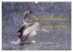 Der Höckerschwan elegant und stolz (Wandkalender 2024 DIN A3 quer), CALVENDO Monatskalender