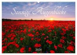 Sonnige Augenblicke (Wandkalender 2024 DIN A2 quer), CALVENDO Monatskalender