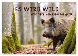 ES WIRD WILD Wildtiere von klein bis groß (Wandkalender 2024 DIN A2 quer), CALVENDO Monatskalender