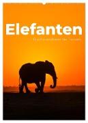Elefanten - Die Herzeroberer der Tierwelt. (Wandkalender 2024 DIN A2 hoch), CALVENDO Monatskalender