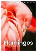 Flamingos in rosa Federpracht. (Wandkalender 2024 DIN A4 hoch), CALVENDO Monatskalender
