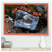 EIN STEIN SEIN (hochwertiger Premium Wandkalender 2024 DIN A2 quer), Kunstdruck in Hochglanz