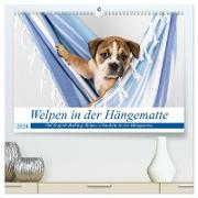 Welpen in der Hängematte (hochwertiger Premium Wandkalender 2024 DIN A2 quer), Kunstdruck in Hochglanz