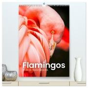 Flamingos in rosa Federpracht. (hochwertiger Premium Wandkalender 2024 DIN A2 hoch), Kunstdruck in Hochglanz