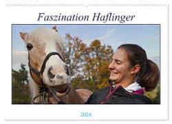 Faszination Haflinger (Wandkalender 2024 DIN A2 quer), CALVENDO Monatskalender