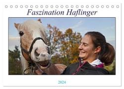 Faszination Haflinger (Tischkalender 2024 DIN A5 quer), CALVENDO Monatskalender