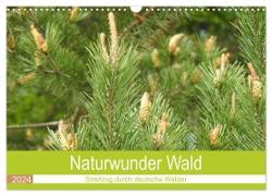 Naturwunder Wald (Wandkalender 2024 DIN A3 quer), CALVENDO Monatskalender