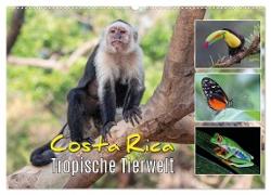 Costa Rica - Tropische Tierwelt (Wandkalender 2024 DIN A2 quer), CALVENDO Monatskalender