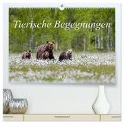 Tierische Begegnungen (hochwertiger Premium Wandkalender 2024 DIN A2 quer), Kunstdruck in Hochglanz