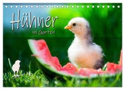 Hühner im Garten (Tischkalender 2024 DIN A5 quer), CALVENDO Monatskalender