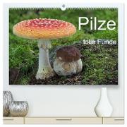Pilze - tolle Funde (hochwertiger Premium Wandkalender 2024 DIN A2 quer), Kunstdruck in Hochglanz