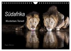 Südafrika wunderbare Tierwelt (Wandkalender 2024 DIN A4 quer), CALVENDO Monatskalender