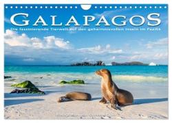 Die faszinierende Tierwelt der Galapagos-Inseln (Wandkalender 2024 DIN A4 quer), CALVENDO Monatskalender