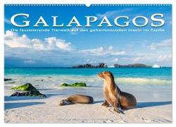 Die faszinierende Tierwelt der Galapagos-Inseln (Wandkalender 2024 DIN A2 quer), CALVENDO Monatskalender