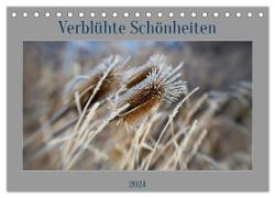 Verblühte Schönheiten (Tischkalender 2024 DIN A5 quer), CALVENDO Monatskalender