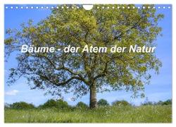 Bäume, der Atem der Natur (Wandkalender 2024 DIN A4 quer), CALVENDO Monatskalender