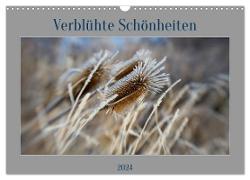 Verblühte Schönheiten (Wandkalender 2024 DIN A3 quer), CALVENDO Monatskalender