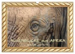 Augenblicke aus Afrika (Wandkalender 2024 DIN A3 quer), CALVENDO Monatskalender