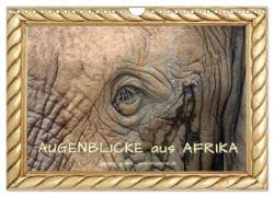 Augenblicke aus Afrika (Wandkalender 2024 DIN A4 quer), CALVENDO Monatskalender
