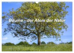 Bäume, der Atem der Natur (Wandkalender 2024 DIN A3 quer), CALVENDO Monatskalender