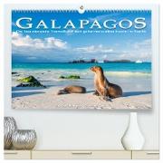 Die faszinierende Tierwelt der Galapagos-Inseln (hochwertiger Premium Wandkalender 2024 DIN A2 quer), Kunstdruck in Hochglanz