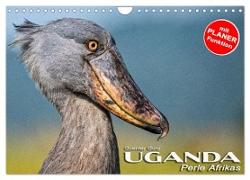 UGANDA - Perle Afrikas (Wandkalender 2024 DIN A4 quer), CALVENDO Monatskalender