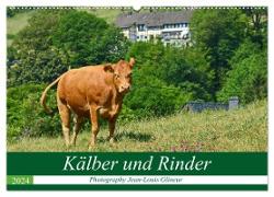 Kälber und Rinder (Wandkalender 2024 DIN A2 quer), CALVENDO Monatskalender