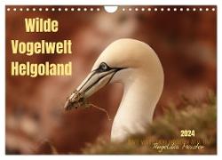 Wilde Vogelwelt Helgoland (Wandkalender 2024 DIN A4 quer), CALVENDO Monatskalender