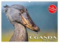 UGANDA - Perle Afrikas (Wandkalender 2024 DIN A2 quer), CALVENDO Monatskalender